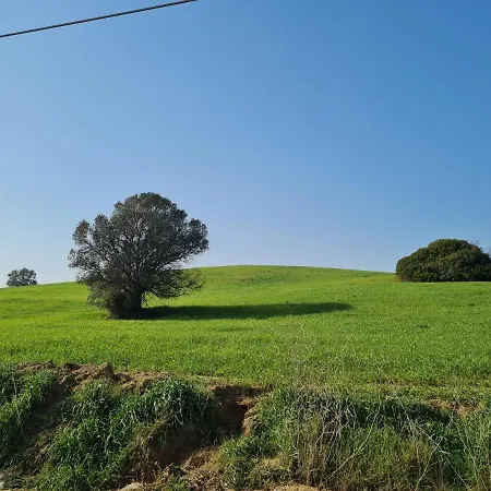 Buonavista - Parco Della Maremma Farmház Alberese